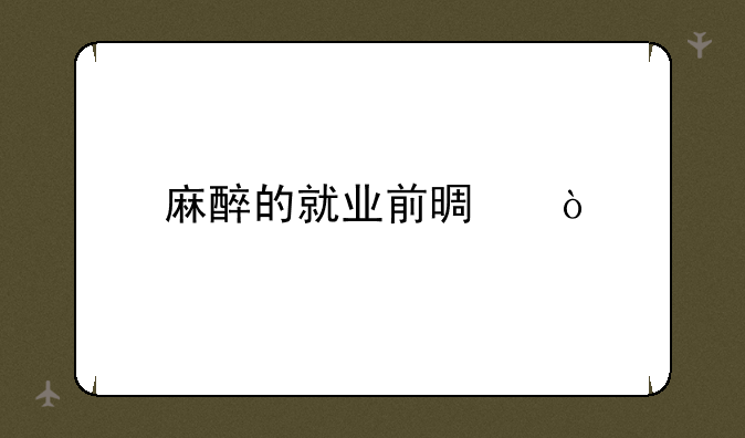 麻醉的就业前景？