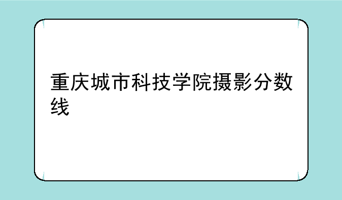 重庆城市科技学院摄影分数线