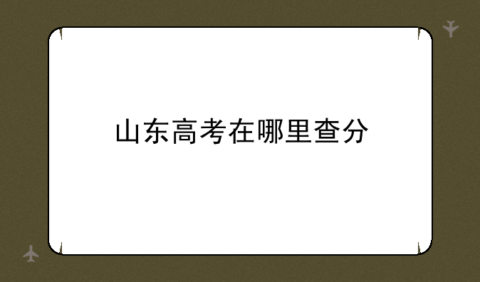 山东高考在哪里查分