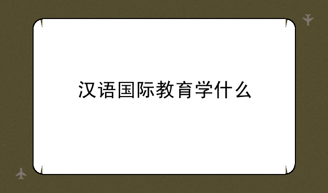 汉语国际教育学什么