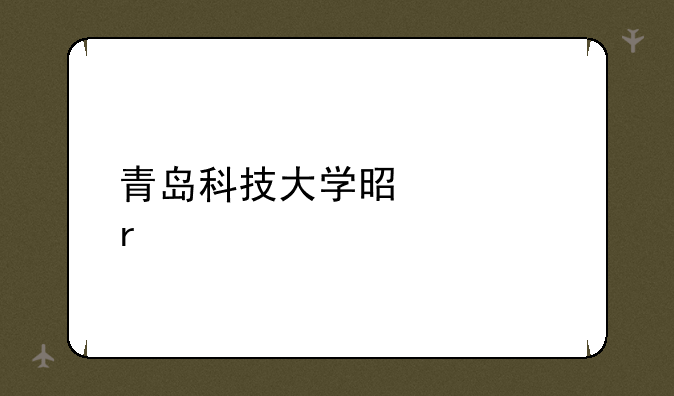 青岛科技大学是几本