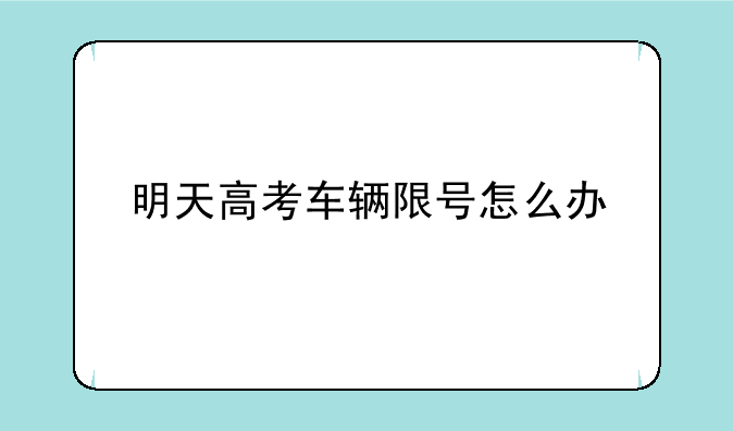 明天高考车辆限号怎么办