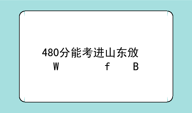 480分能考进山东政法学院吗