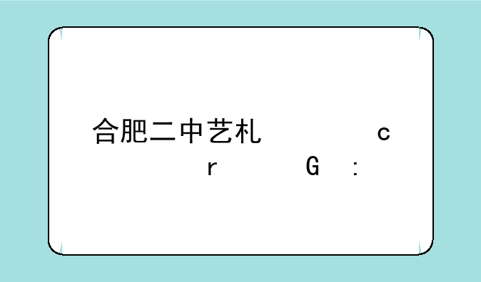 合肥二中艺术类高考本科率