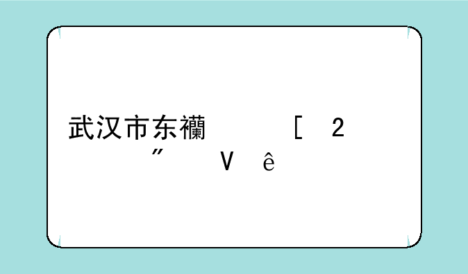 武汉市东西湖区中考分数线