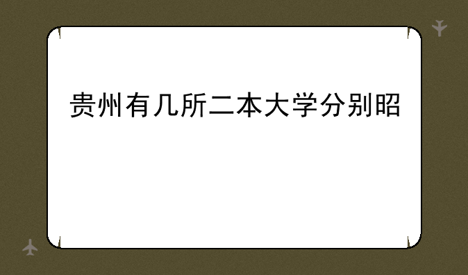 贵州有几所二本大学分别是那所？