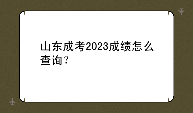 山东成考2023成绩怎么查询？